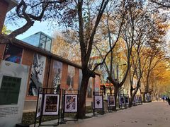 -西安电影制片厂