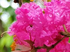 -杭州城北体育公园