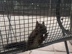 -秦皇岛野生动物园
