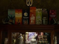 -雪灵魔法世界SHELLY’S TAROT(大良桂畔里店)