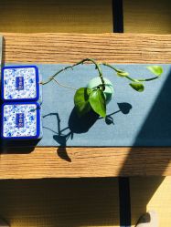 -酉嘉瑜伽YO+YOGA