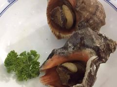 -东极岛海鲜