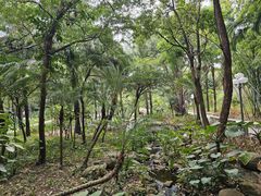-深圳龙潭公园