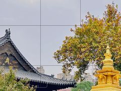 -西安大兴善寺
