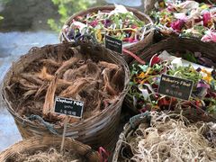 -大象粑粑造纸公园