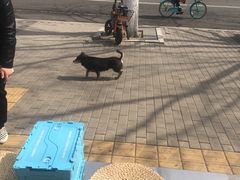 -BE YOLO必有乐&小红帽三明治