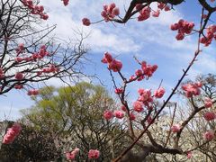 -北京明城墙遗址公园