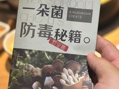 -一朵菌·野生菌探索家火锅(南亚店)
