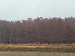 -柳州肥姨妈大骨螺蛳粉(老闵行店)