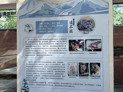 -青藏高原野生动物园
