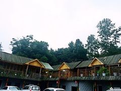 -铁山坪森林公园