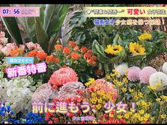 -T11生鲜超市(朝阳公园店)