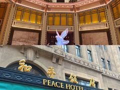 -上海和平饭店 Fairmont Peace Hotel
