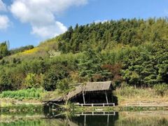 -小猫钓鱼海钓俱乐部(椰梦长廊店)