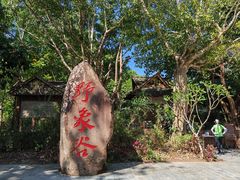 -野象谷景区