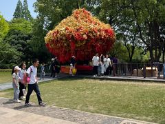 -狼山风景名胜区