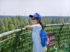 -黄海国家森林公园