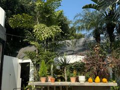 -自由生长植物工作室(深港花卉中心店)
