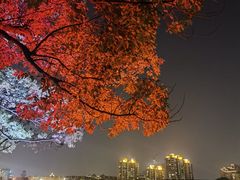 -宁波大剧院