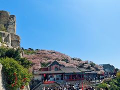 -泰山风景名胜区