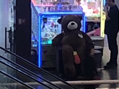 -PAWTOY爪e玩偶店(天兴罗斯福店)