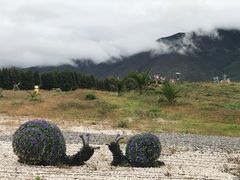 -丽江植物园