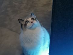 -零纪元VR体验馆·桌游(黄浦店)