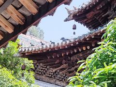 -报恩寺(平武县)