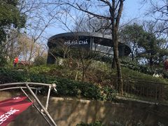 -MAMACHA妈妈茶(岳麓山店)