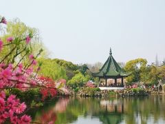 -无锡蠡湖国家湿地公园-蠡园