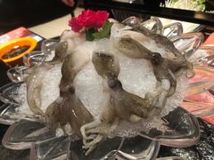 -煲宫猪肚鸡(昆山金鹰国际购物中心店)