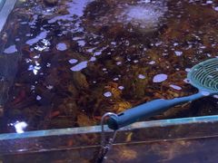 -聚盛源蒸汽海鲜火锅烤肉自助(巨川金海岸购物广场店)