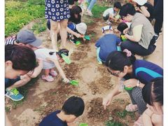 -乐融婴幼儿成长中心(四季青校区)