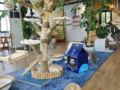 -太阳岛度假酒店