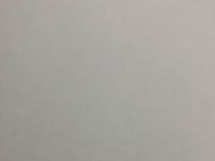 -璐坊粽王(复兴中路店)