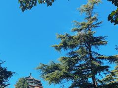 -中国农业博物馆
