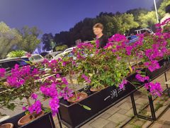 -一澜江宴·江景地标楚菜(江滩公园店)