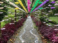 -莫里热带雨林景区
