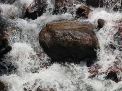 -广州白江湖森林公园