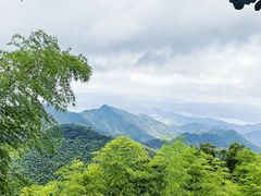 -莫干山风景区