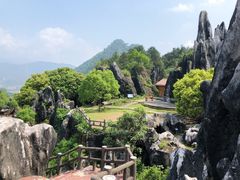 -玉石林风景区