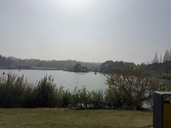 -宜兴龙背山森林公园