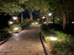 -天目湖涵田半山温泉