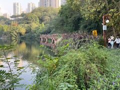 -重庆彩云湖湿地公园