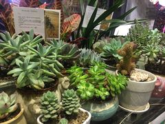 -拾花记花艺·求婚·订婚·生日布置(高新店)