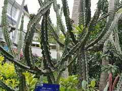 -中国科学院西双版纳热带植物园