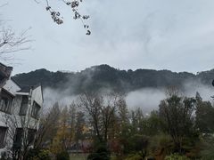 -九华山风景区