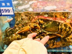 -望海湾鱼头泡饼·天津菜(空港店)