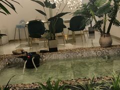 -开间茶馆·围炉煮茶