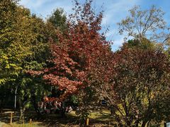 -国家植物园南园